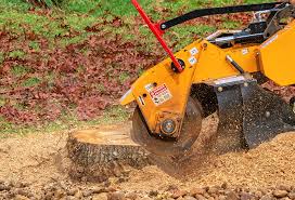 Best Lawn Pest Prevention  in St James, NC
