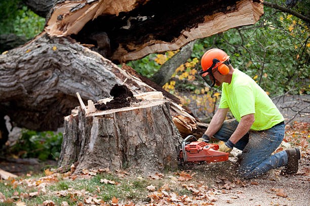 Best Utility Line Clearance  in St James, NC